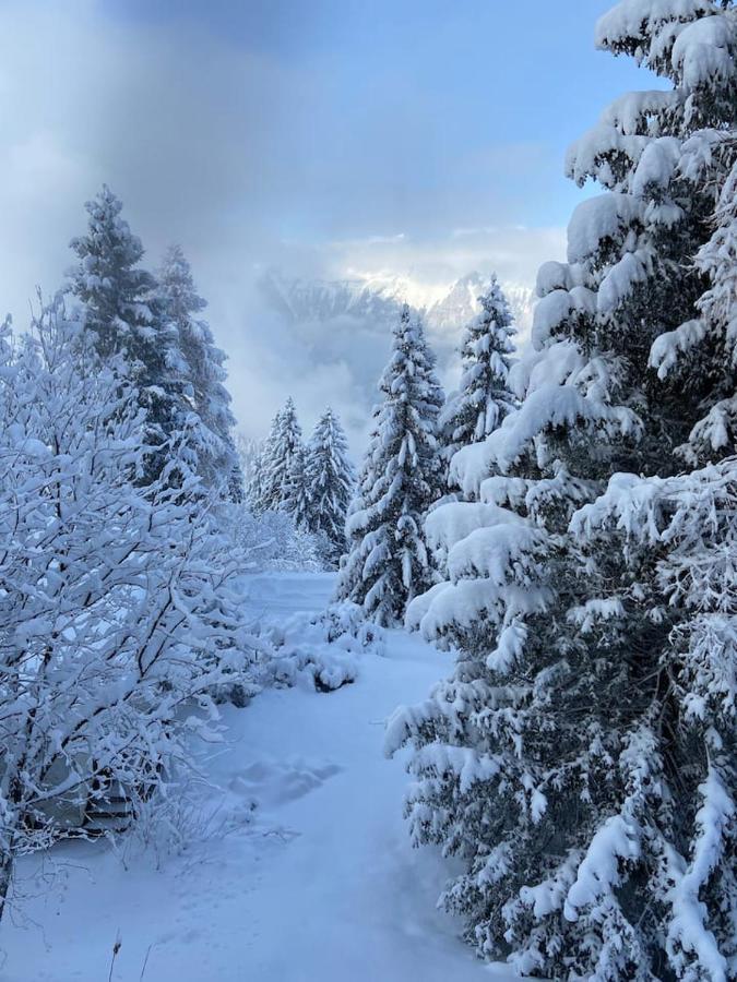 Am Sunne-egge Auf Bei Brienz * Axalp