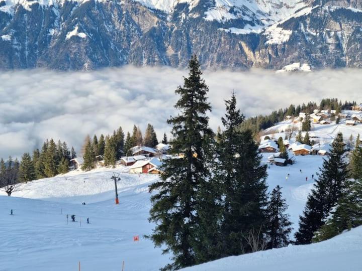 Am Sunne-egge Auf Bei Brienz Axalp