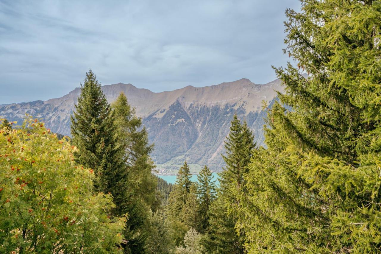 Am Sunne-egge Auf Bei Brienz